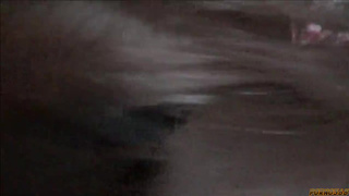 Девка лижет яйца парню в домашнем порно