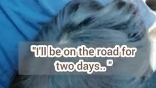 Sissy Face Fuck Deepthroat Caption GIF