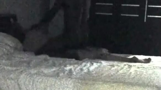 Мулат натягивает писю белой шлюхи на длинный член